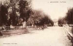 Assi bou nif 101